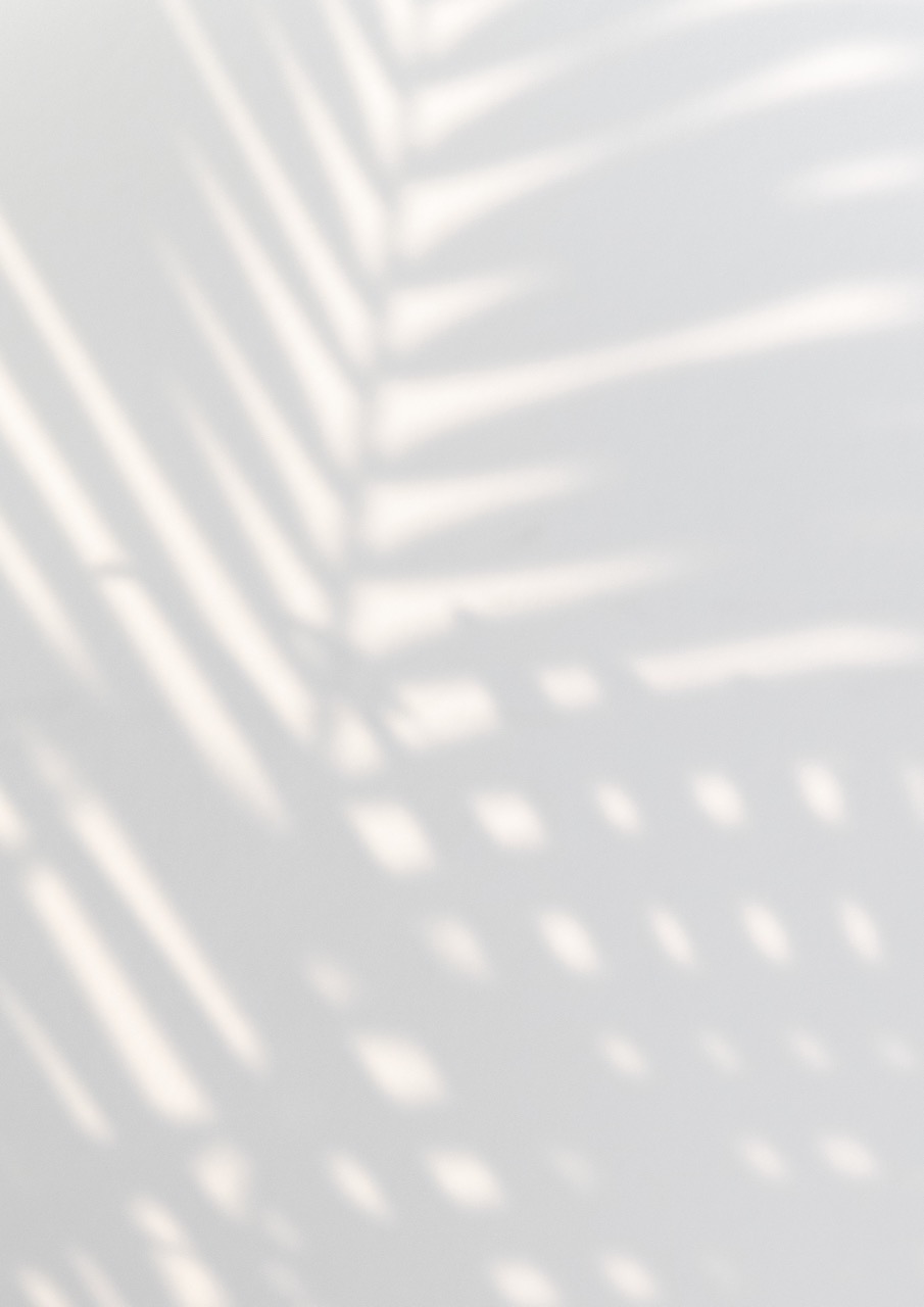 Palm leaf shadow background